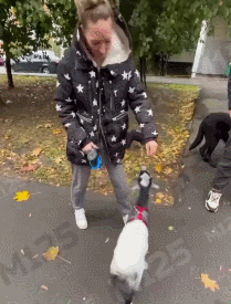 GIF-16.gif