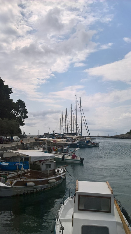 WP_20160707_10_49_36_Pro