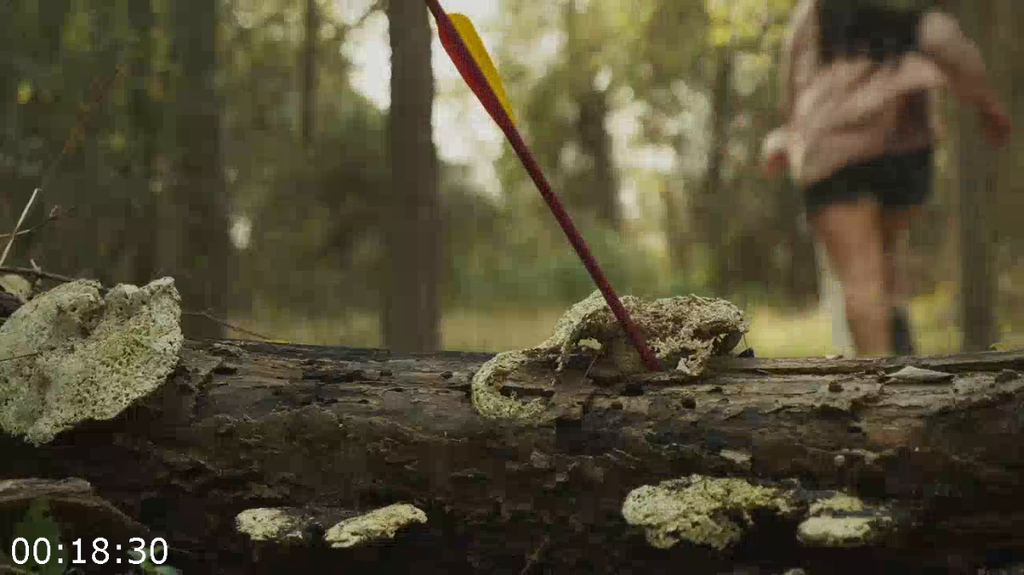 [Kép: A-Game-In-The-Woods-2025-720P-Amzn-Webdl-H-264.png]