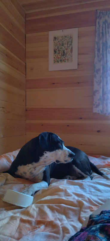 A6863F64-FA79-4AB9-8315-6CD9F2049B07