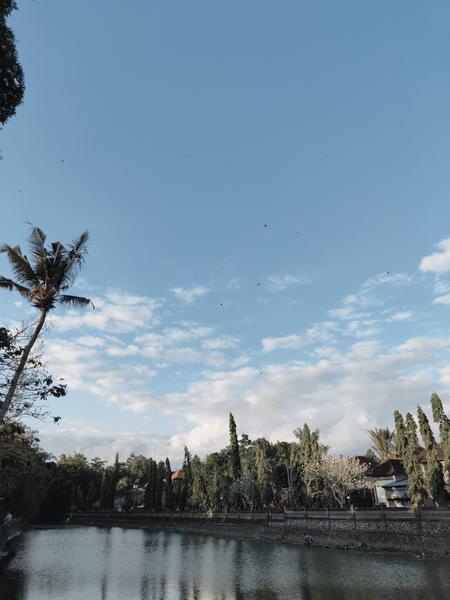 6 Aviones, 3 barcos y 2 trenes, empezando en Estambul y terminando Kuala Lump - Blogs de Indonesia - TERCERA PARADA: BALI (102)