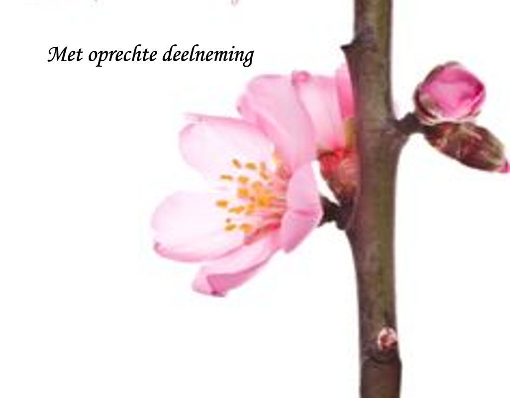 Afbeelding2.png