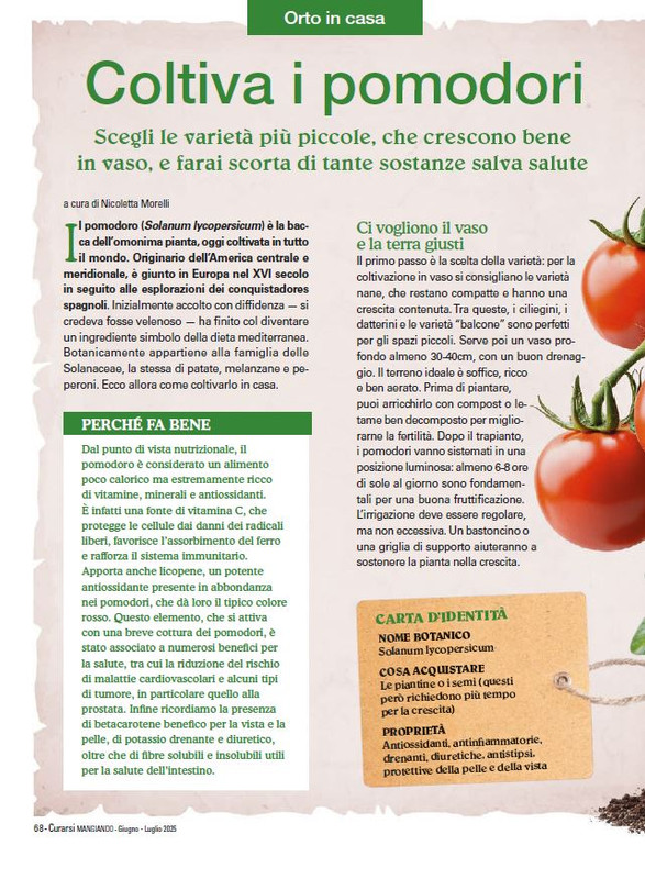 Cur Mang Giu-Lug 2025 (9)