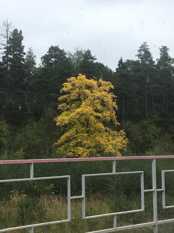 разное, ремонт и пр 004