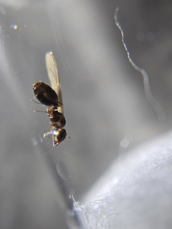 20250603-074359-0.jpg
