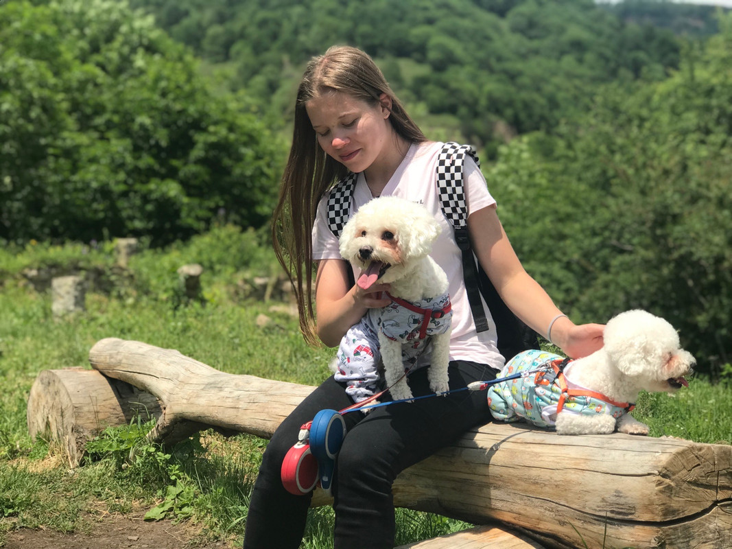 F3C40FBE-D57A-4CFE-ABAC-261CA2894313