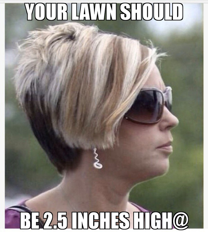 MEME2022-05-30-12-48-28