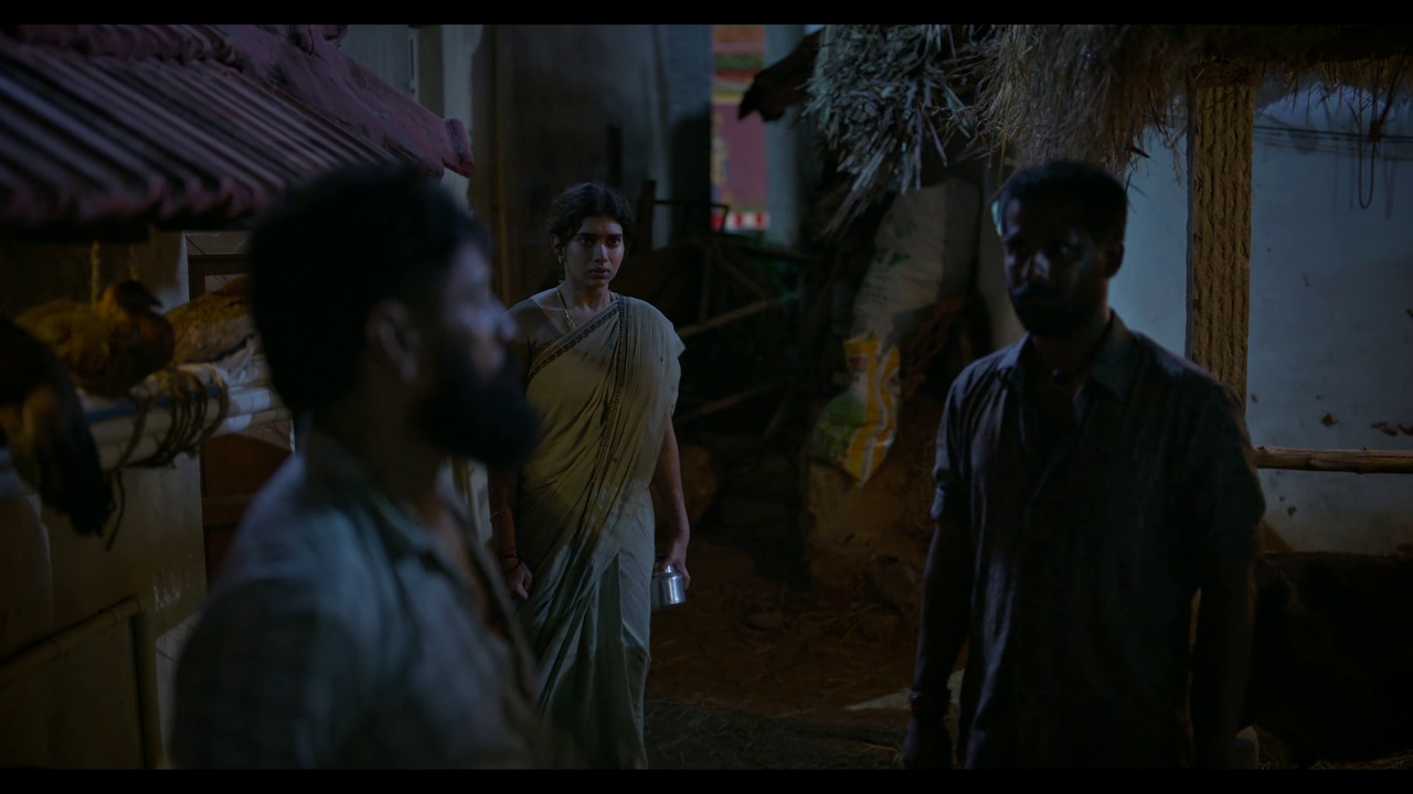 vlcsnap-2025-04-24-21h22m39s395