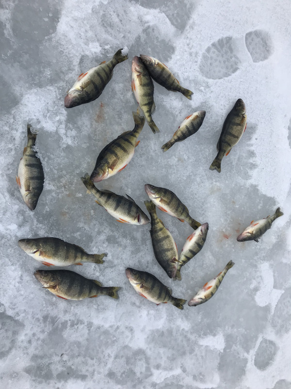 7ACAAC23-A573-4A5B-882D-A2F53AB4E10C