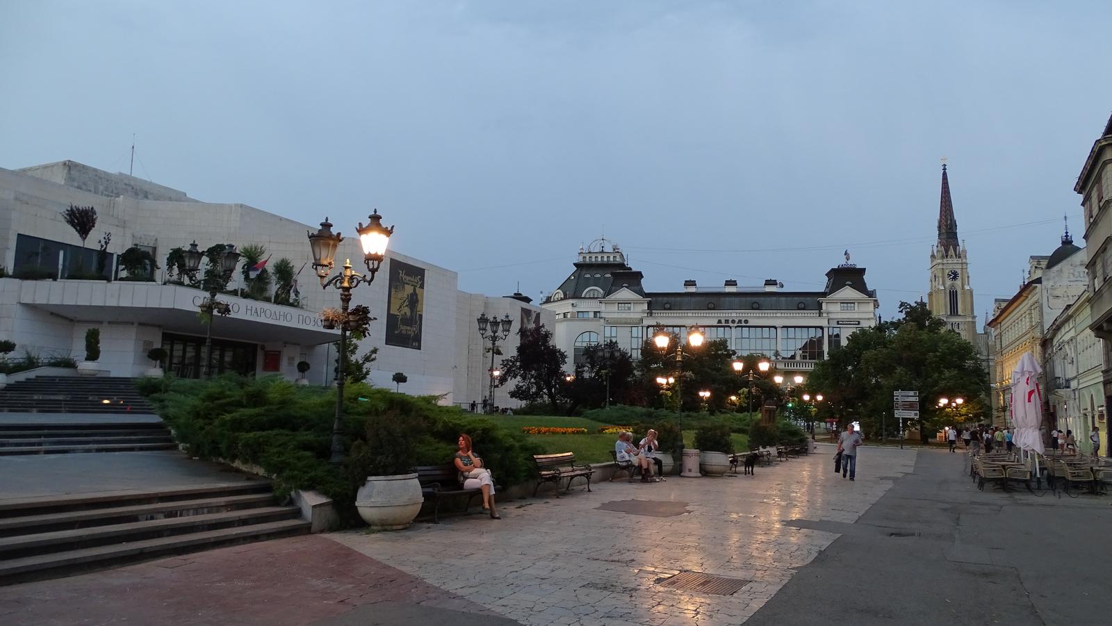 DSC02017.jpg