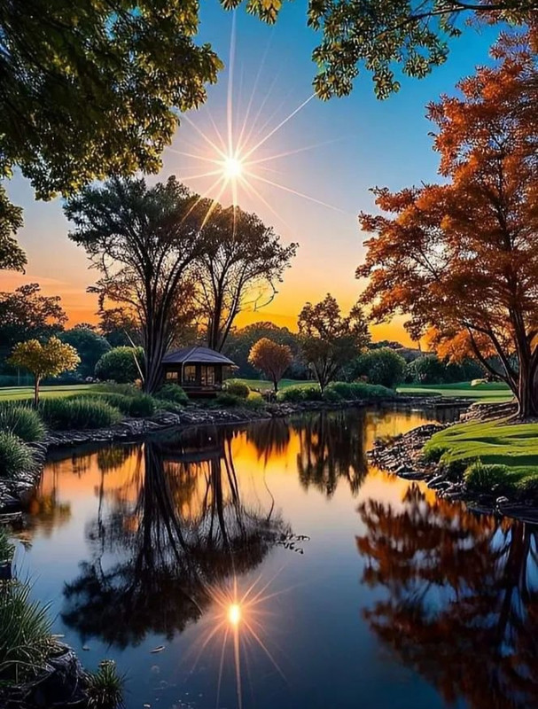 Screenshot_20240505_200640_Threads