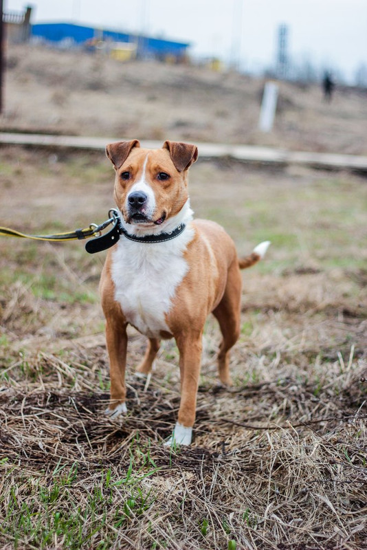 без имени-1189