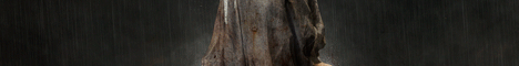 banner1
