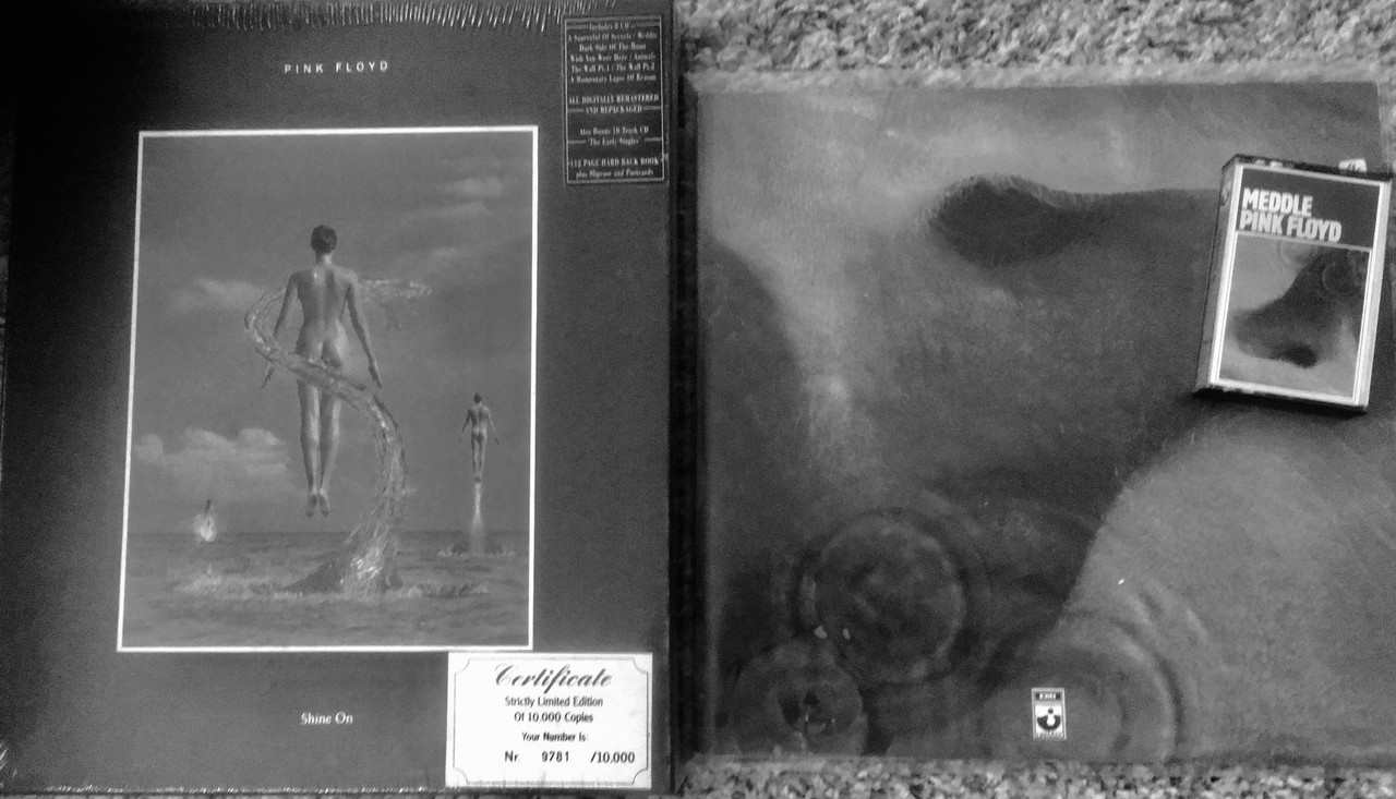 5B8FD981-4361-4EC4-9FF3-740D3D61679F