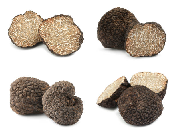 truffle salt bread