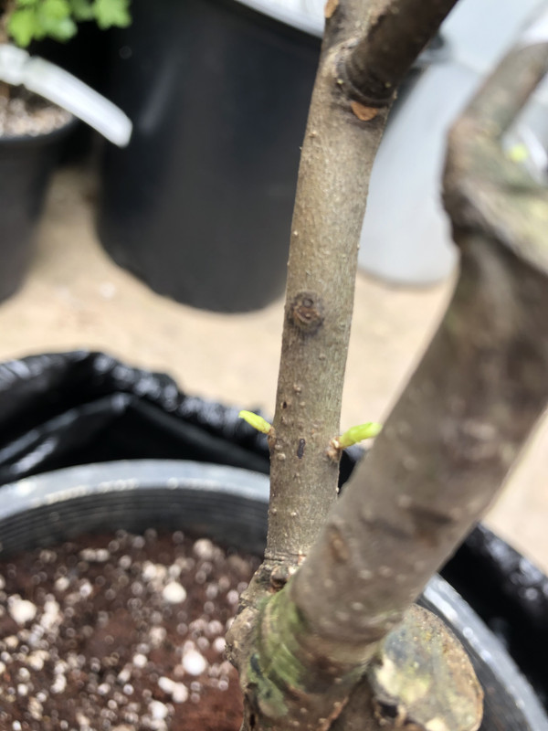 9FBE8361-A970-473E-B5F3-ED7650F296DD