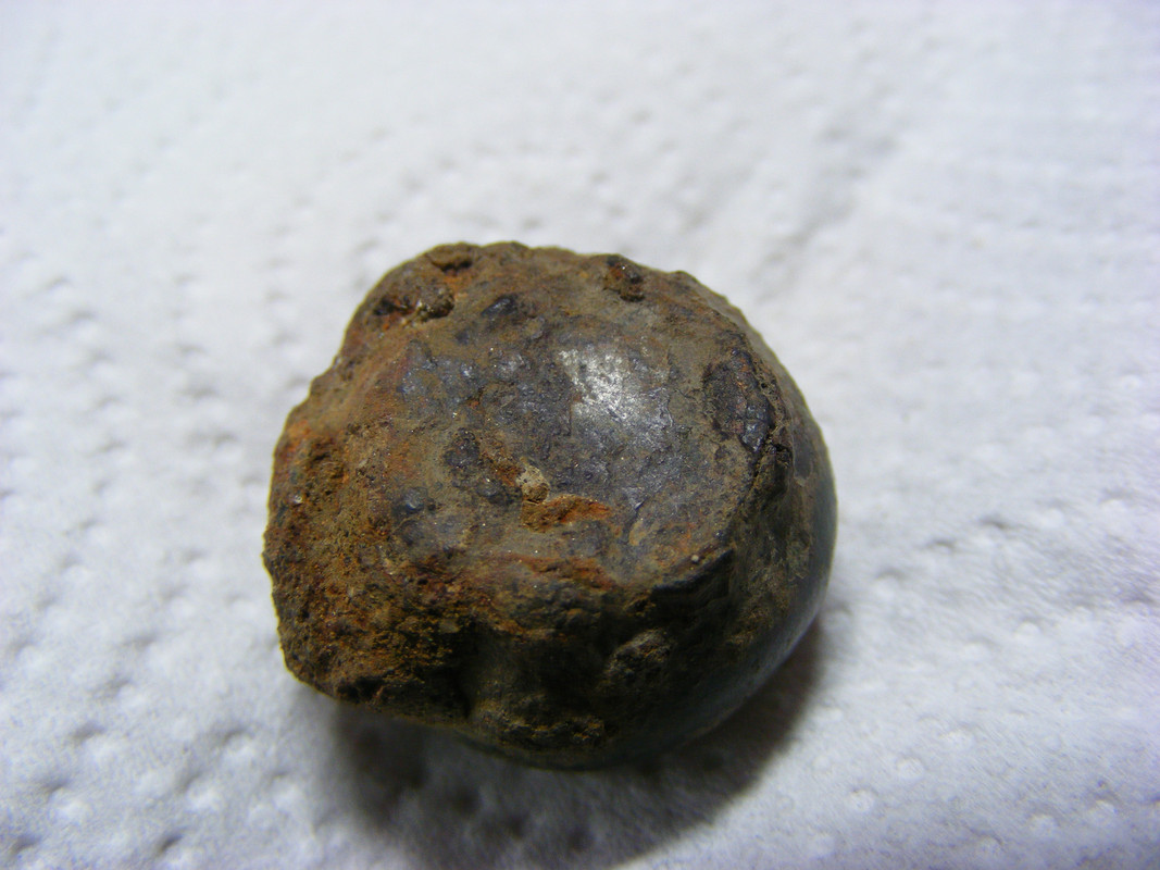 DSCF5598