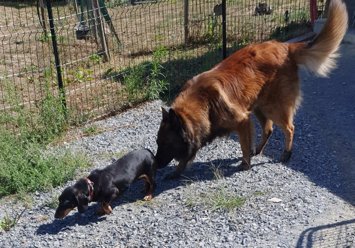 [Image: 20220829-071215.jpg]