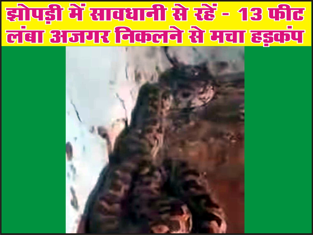 झोपड़ी में सावधानी से रहें - 13 फीट लंबा अजगर निकलने से मचा हड़कंप
