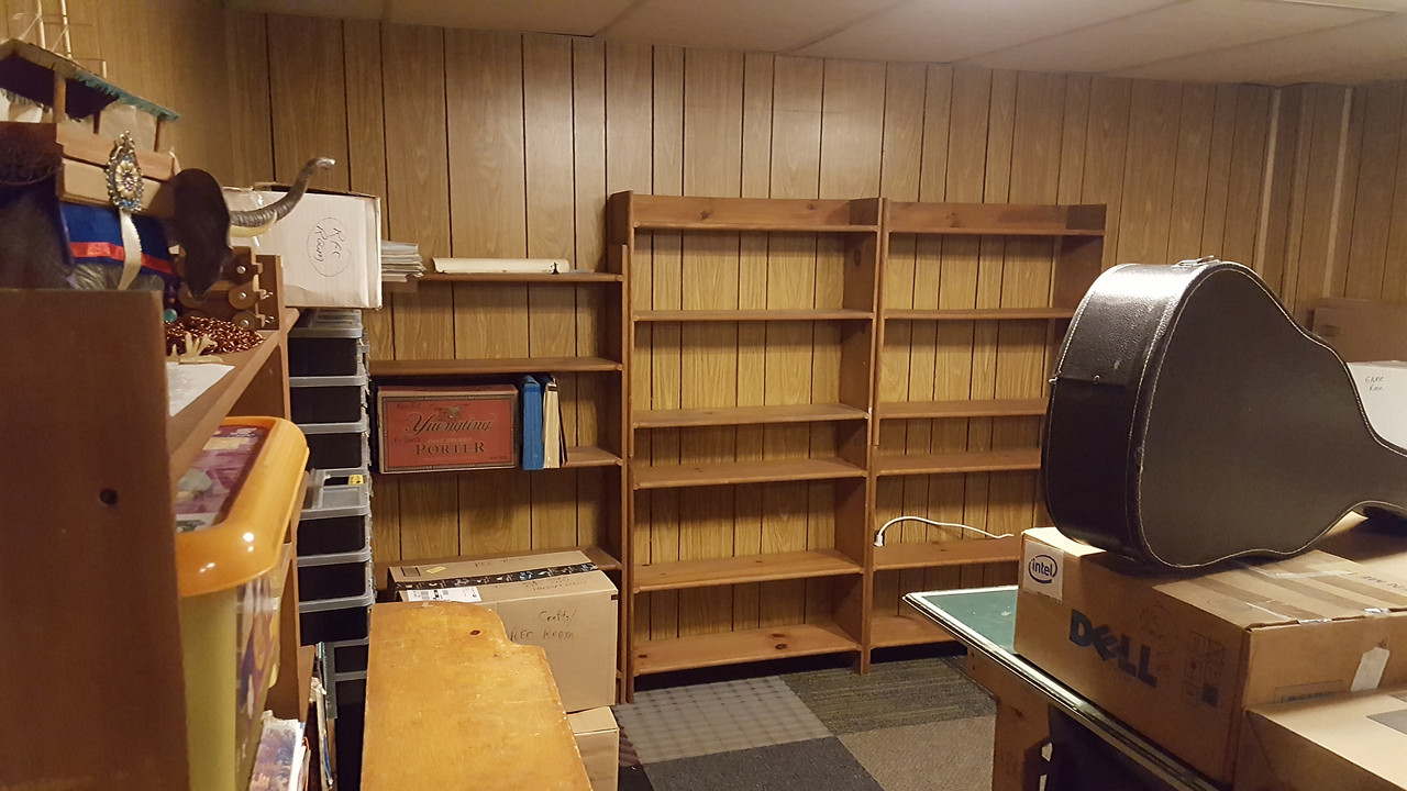 Rec Room Shelves
