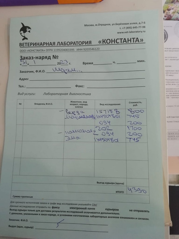 WhatsApp Image 2023-01-31 at 15.06.15 (1)