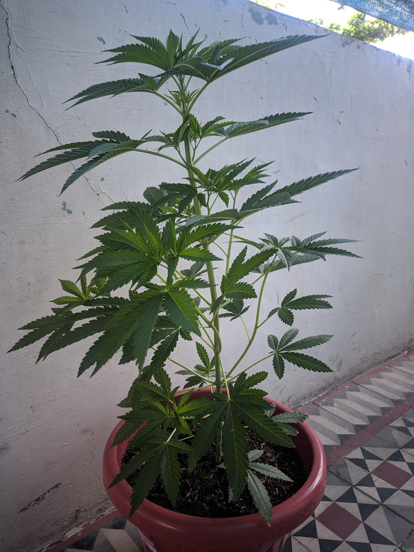 HC_20230111_095604_null