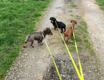 [Image: 20210114-073815.jpg]