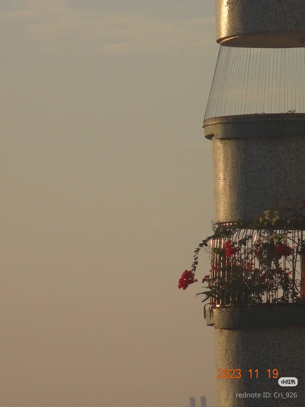 photo 13 2026 01 03 21 27 57