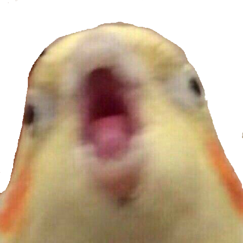 58f5fc9b384b415b80e2be5f.png