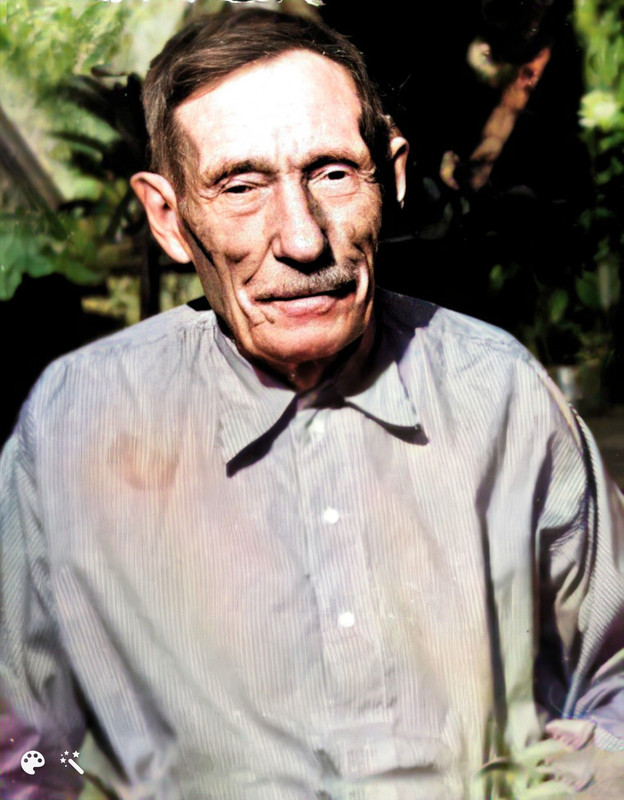 Bauer Wilhelm Enhanced Colorized