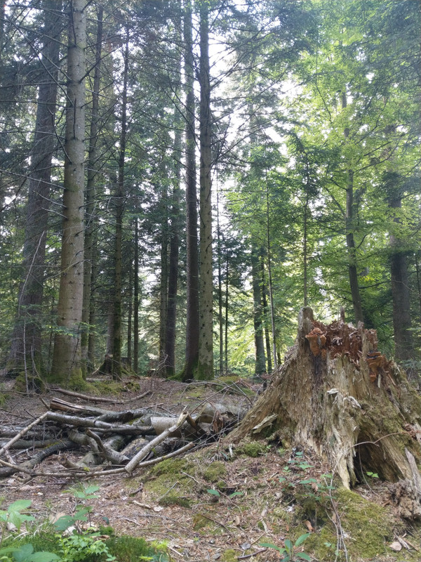 D401ACAF-9B0A-422B-B5A8-FAF6E18012C0