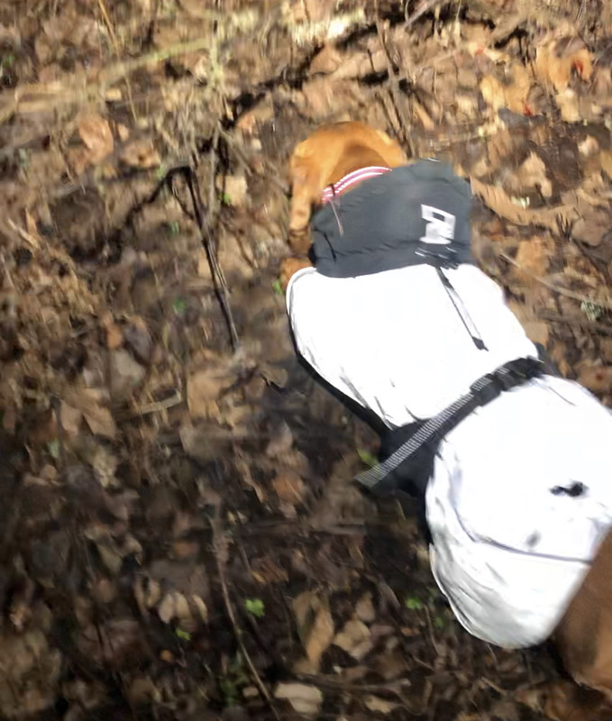 EB03A519-78E6-4D52-82FD-BC5E017B3475