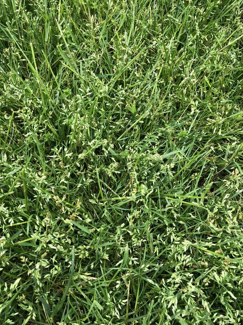 B01A49A3-9364-4395-A989-90DE155306DC