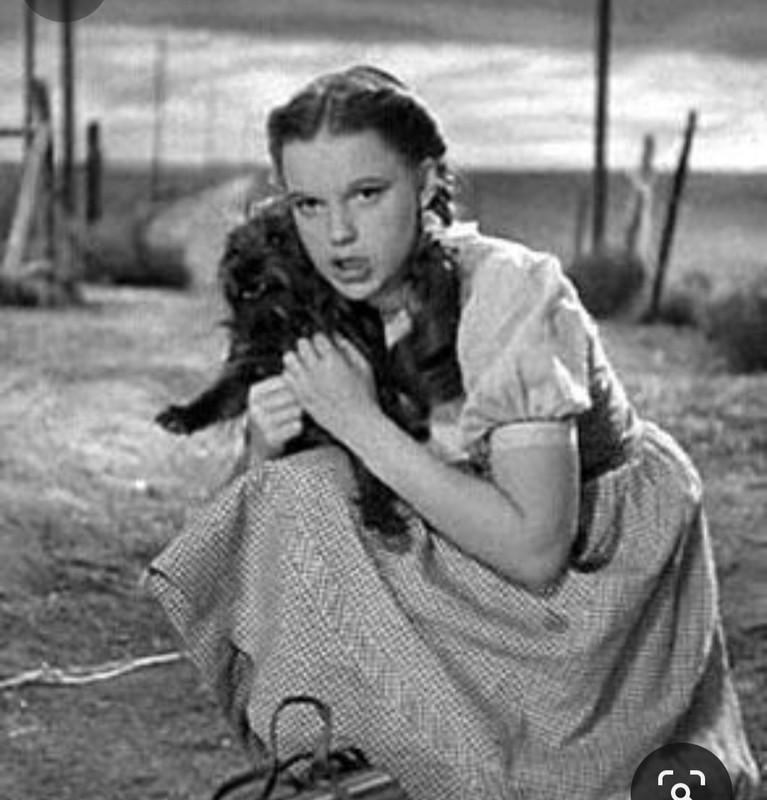 Screenshot_20240215_235216_Pinterest