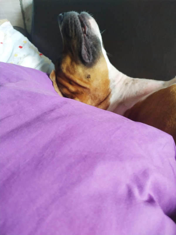 A9F7B68C-B678-4B31-A0F1-C2C42B130413