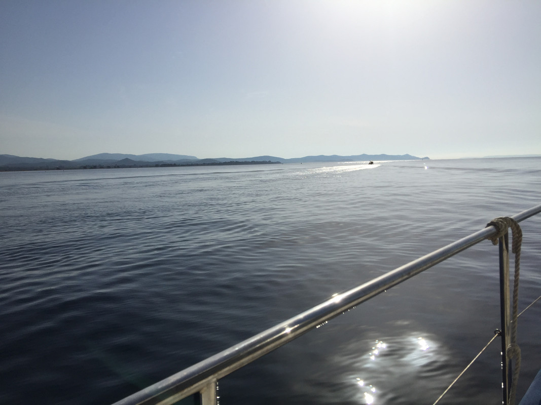 913F4232-552E-4003-9D51-62666FE1933B