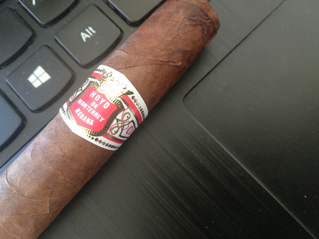 hoyo palmas extra 3