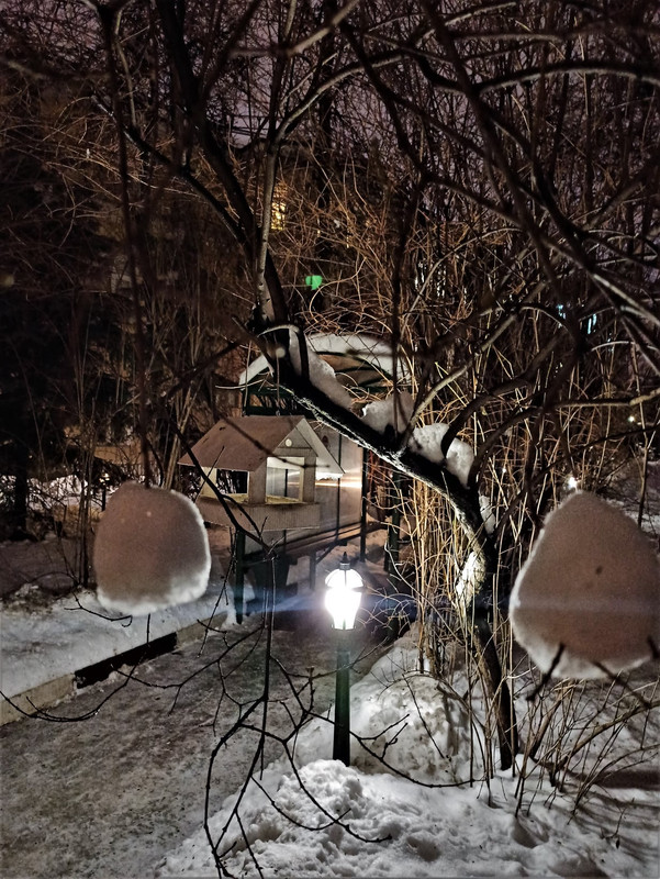 267356600_4603507166407507_6547018146401179387_n