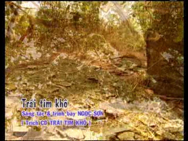 08-Trai-Tim-Kho-Ngoc-Son-VOB-snapshot-00-06-499.jpg