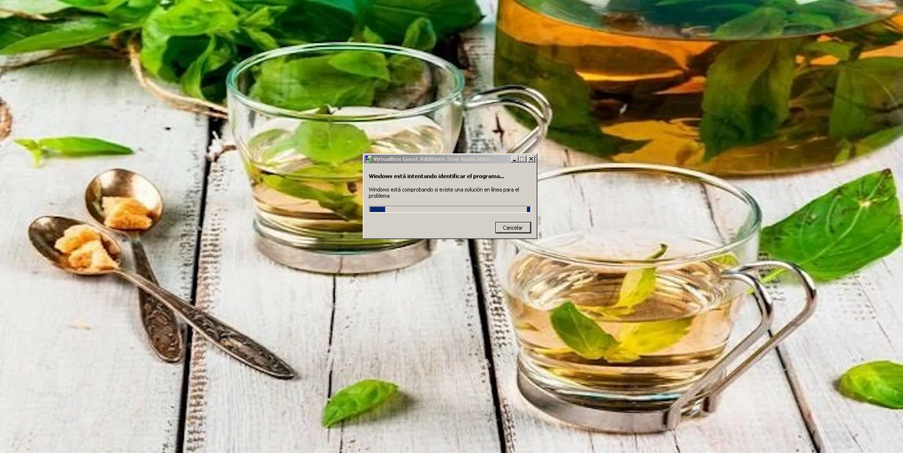 ¿Qué enfermedades previene el té de albahaca?