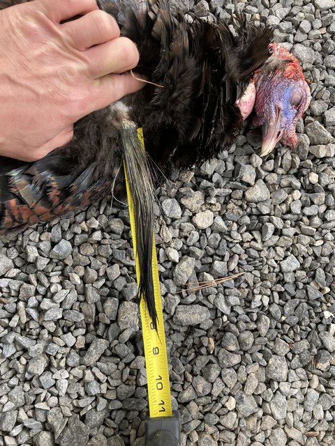 54A82277-EAFA-4A1C-9435-CEB22D3ED663