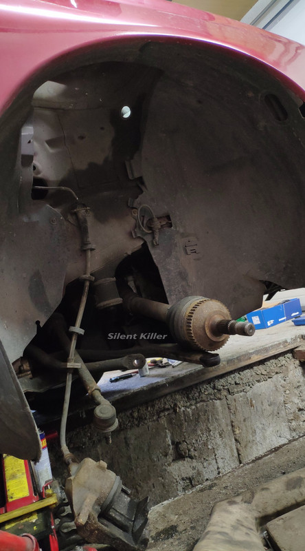 53588318_2351442848464452_2078985138741444608_o