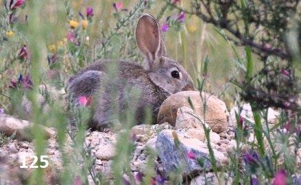 125  guy 95663821_259294005200462_8790626667006525440_n