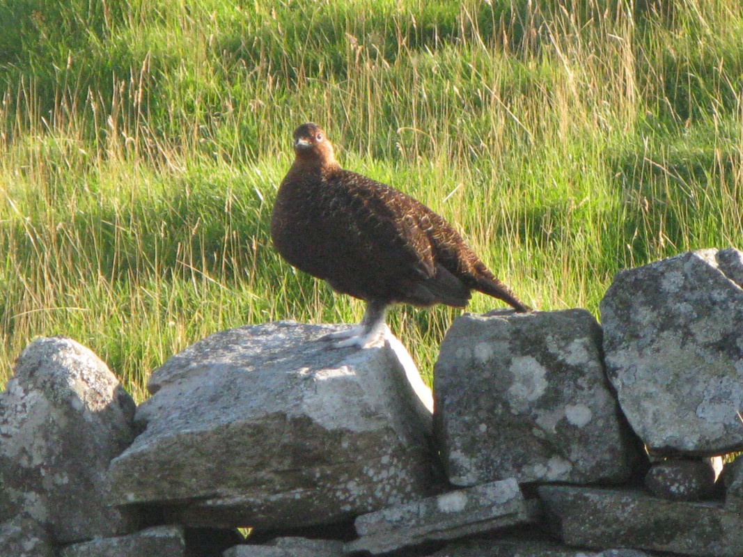 06B1A76F-7C2D-4612-8048-41BE869A0860