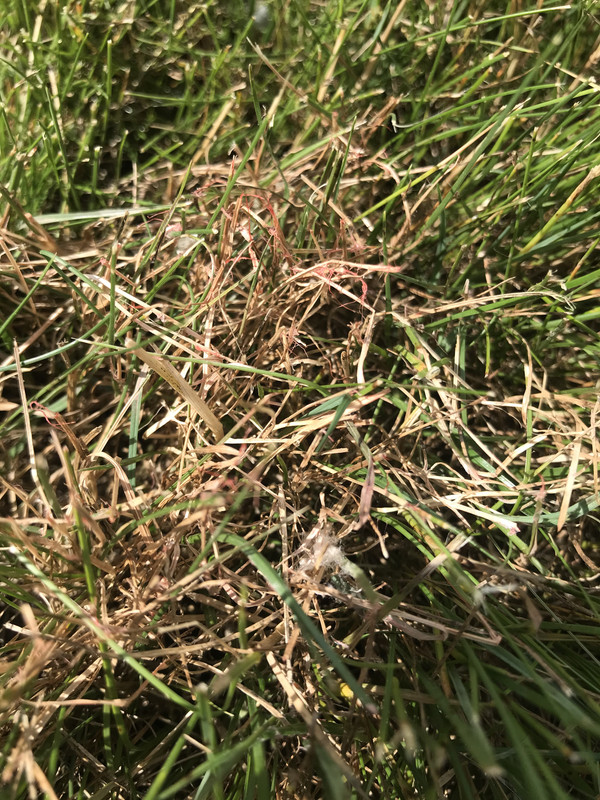 D5DCB2C1-129E-4FE4-A1B0-9093CC3E2945