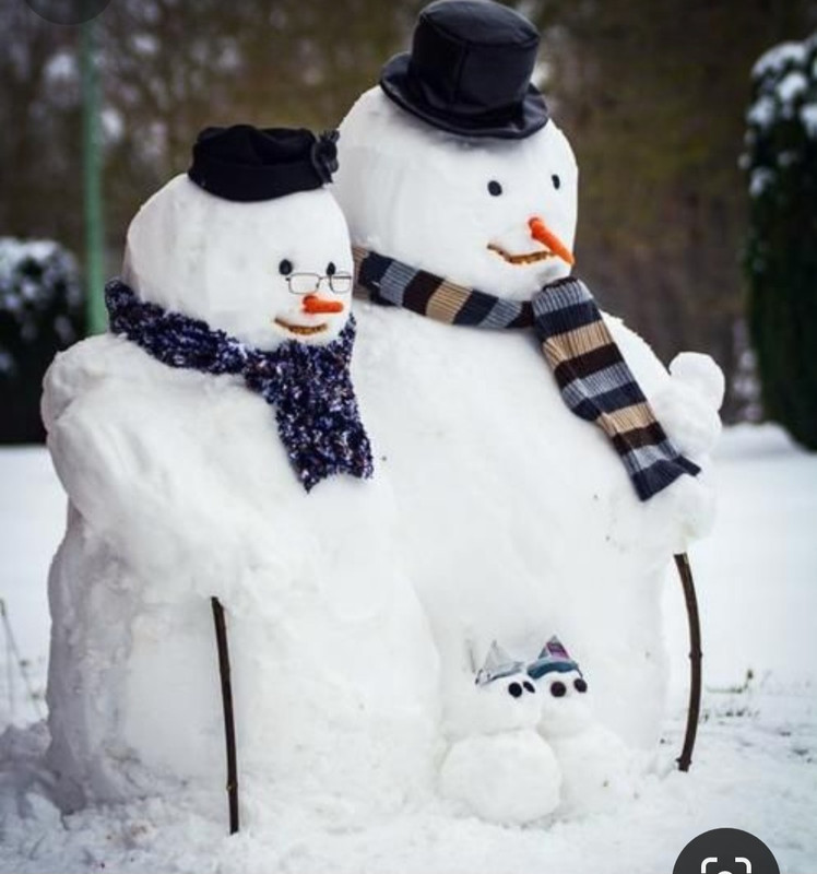 Screenshot_20231212_194941_Pinterest