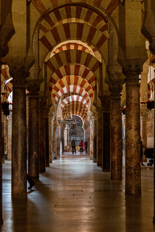 CORDOBA + MEDINA AZAHARA - Blogs de España - 2º DIA MARTES 10 DE MARZO (20)