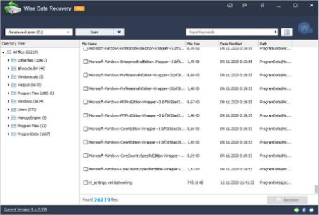 Wise Data Recovery Pro 6.1.2.493 Multilingual Portable