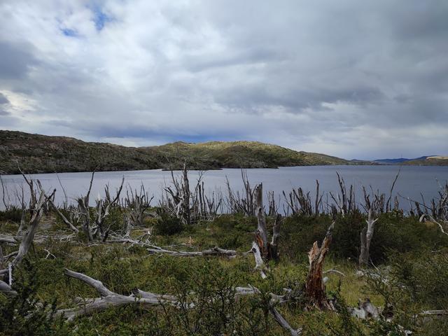 P.N.TORRES DEL PAINE. VALLE DEL FRANCES - ARGENTINA INFINITA II/ TORRES DEL PAINE (6)
