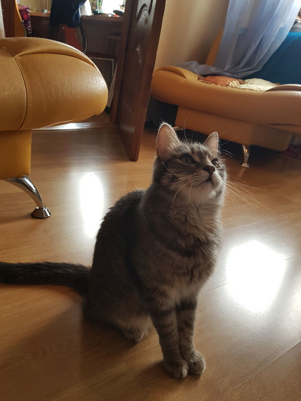 91676B60-0879-47E6-A0E7-6866E79E6EE9